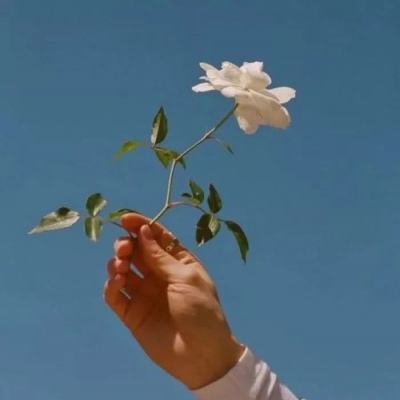 亚新手机版官方登录网站